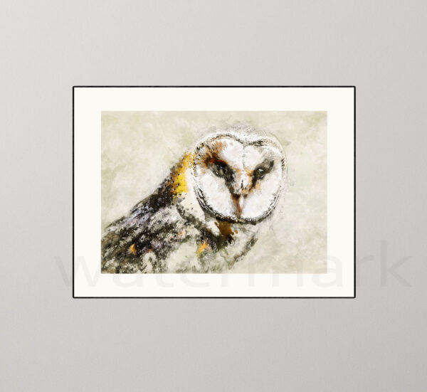 Barn Owl Giclée Bird Print