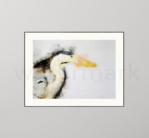 Grey Heron Giclée Bird Print