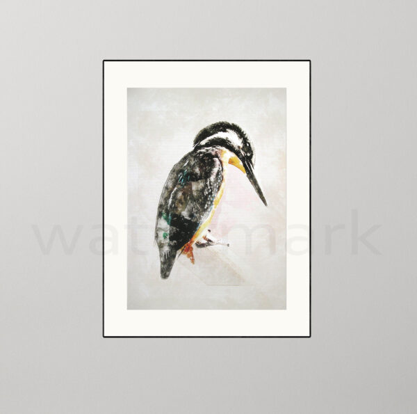 Kingfisher Giclée Print (Bird Print)